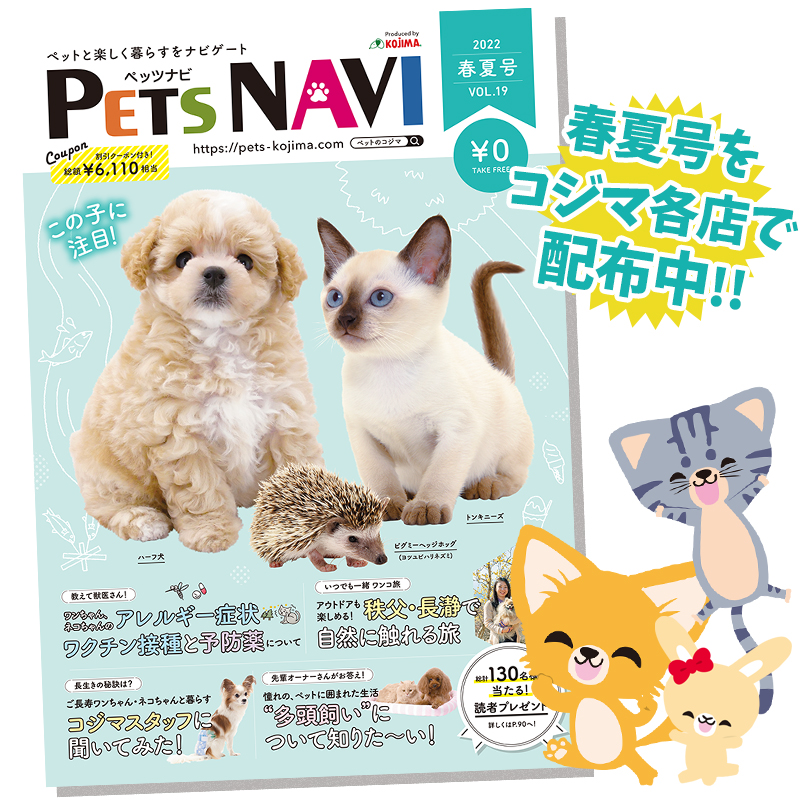 ペットに関する秋冬の情報が満載！ペットの専門店コジマ情報誌『PETS NAVI第19号』発刊！