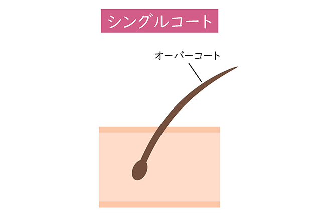 シングルコート