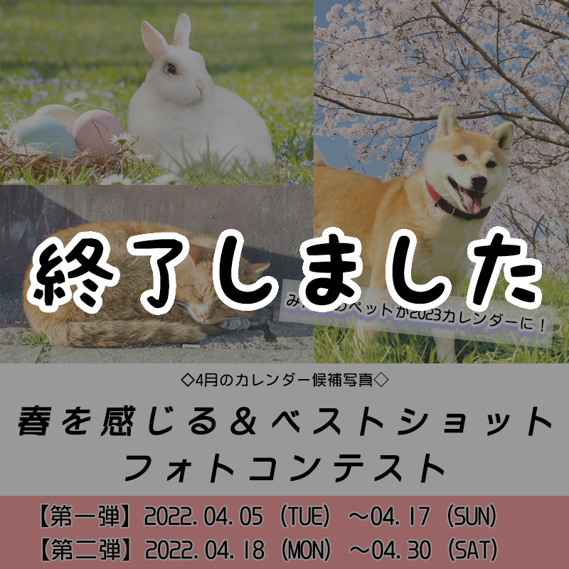 【みんなのペットが2023カレンダーに！】－4月－「春を感じるフォトコンテスト」＆「ベストショットフォトコンテスト」を開催！