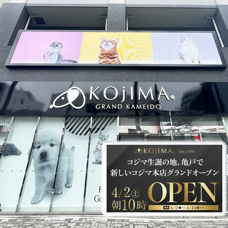 コジマ生誕の地、亀戸で新しいコジマ「グラン亀戸店」が4/2（土）オープン！