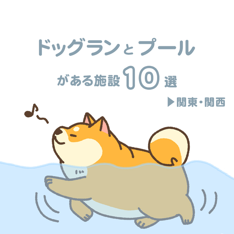 【関東・関西】ドッグランとプールがある施設10選！
