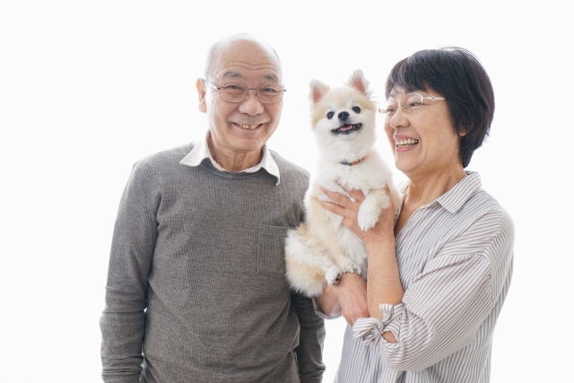 犬を飼う高齢者夫婦