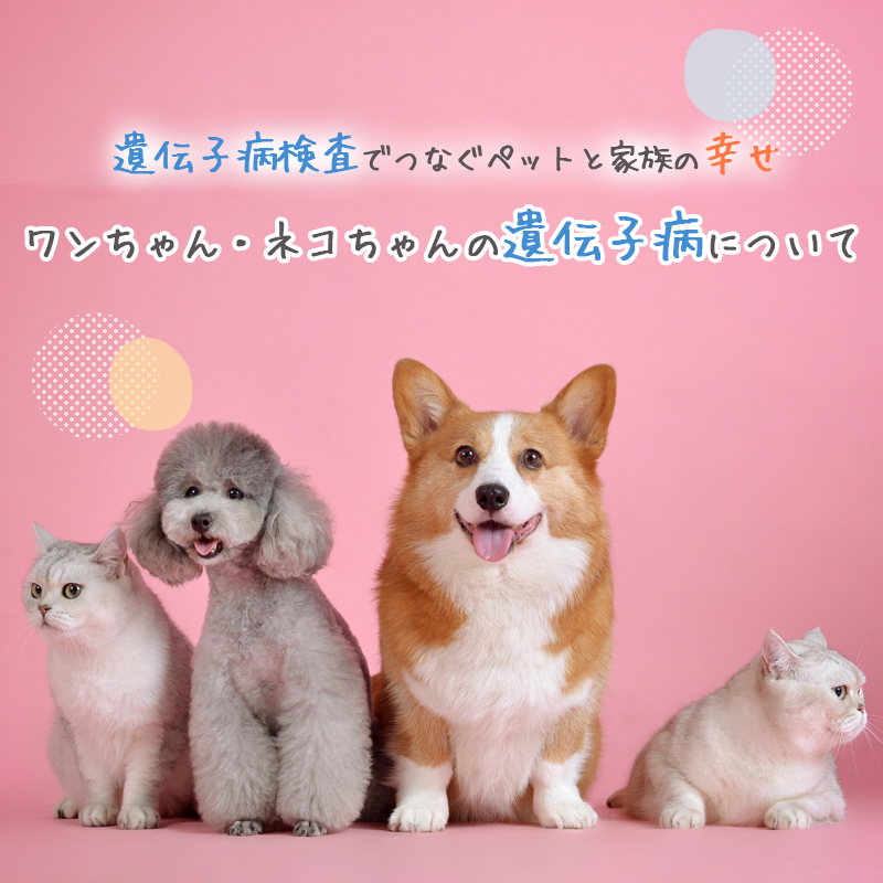 ワンちゃん・ネコちゃんにとって明るい未来のために。遺伝子病検査でつなぐペットと家族の幸せ