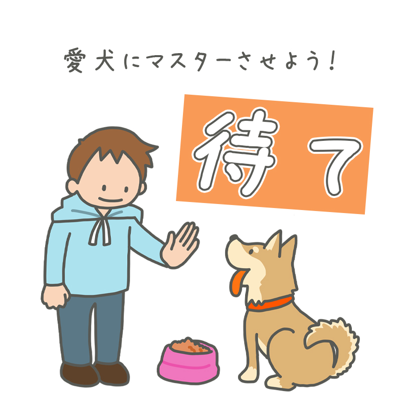 【ドッグトレーナー監修】とても重要なコマンド「待て」を、愛犬にマスターさせよう！
