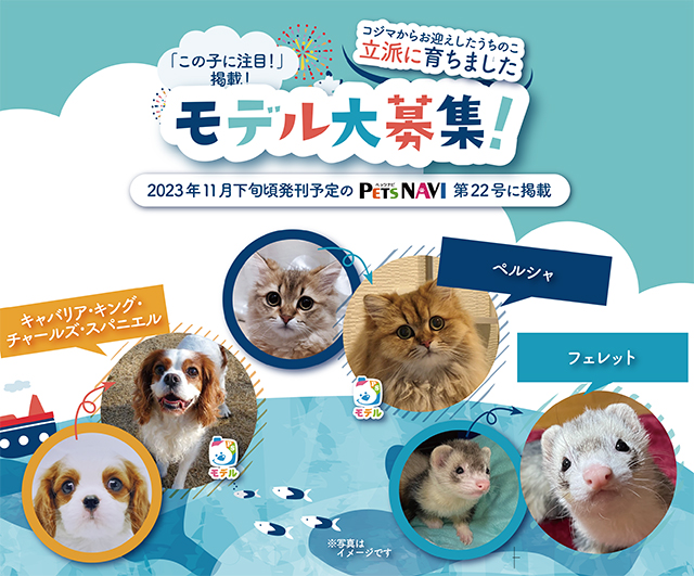 記事用