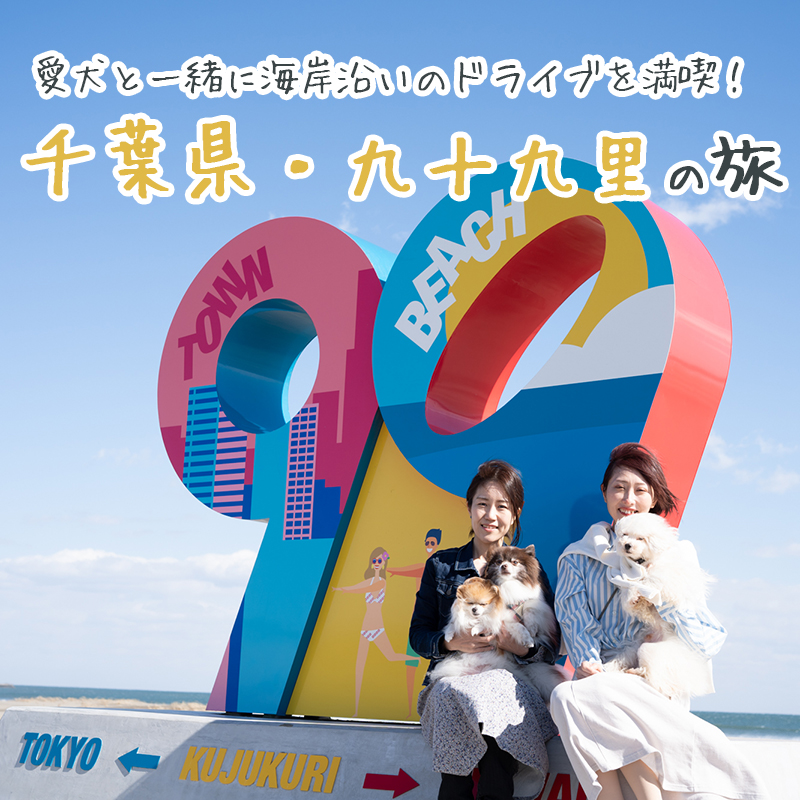 【Web版ワンコ旅】愛犬と一緒に海岸沿いのドライブを満喫！千葉県・九十九里の旅