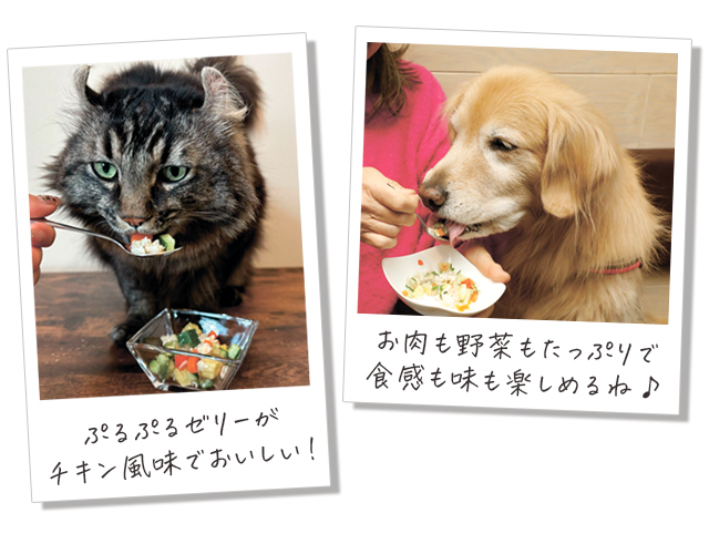 試食