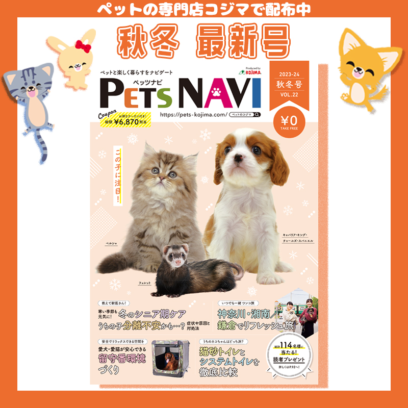 ペットに関する秋冬の情報が満載！ペットの専門店コジマ情報誌『PETS NAVI第22号』が発刊！