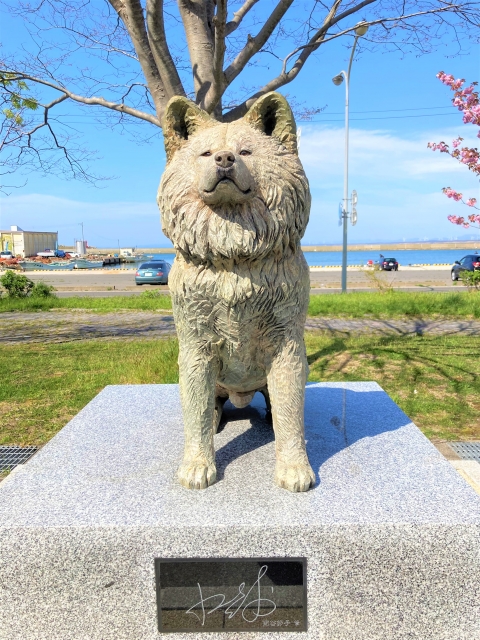 わさお像