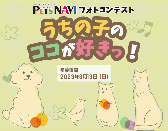 うちの子ココが好き_記事内使用
