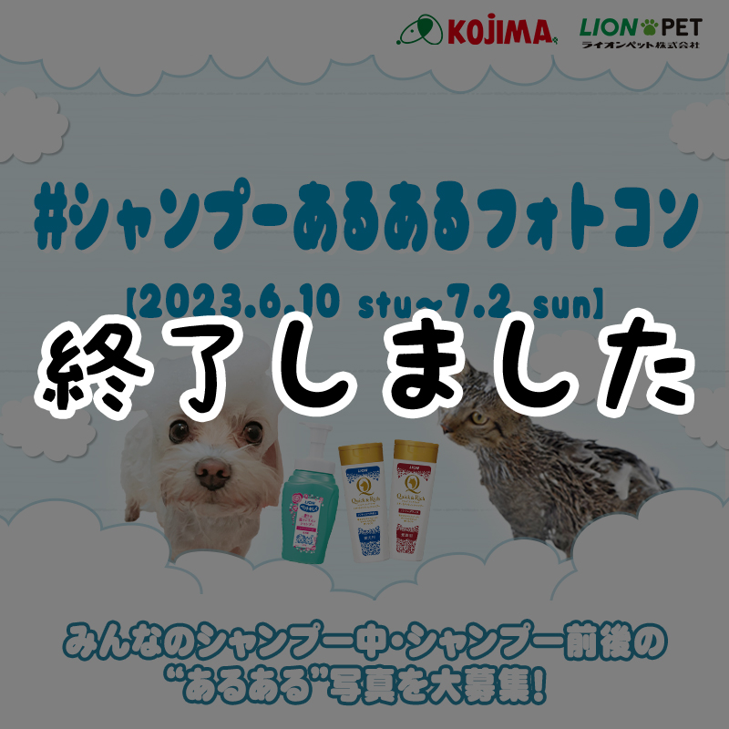 【#シャンプーあるあるフォトコン】愛犬愛猫のシャンプーあるある写真を大募集！