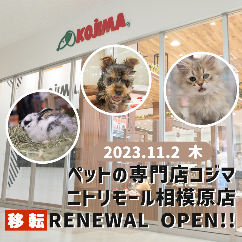 【移転OPEN！】ニトリモール相模原店が本日オープン！