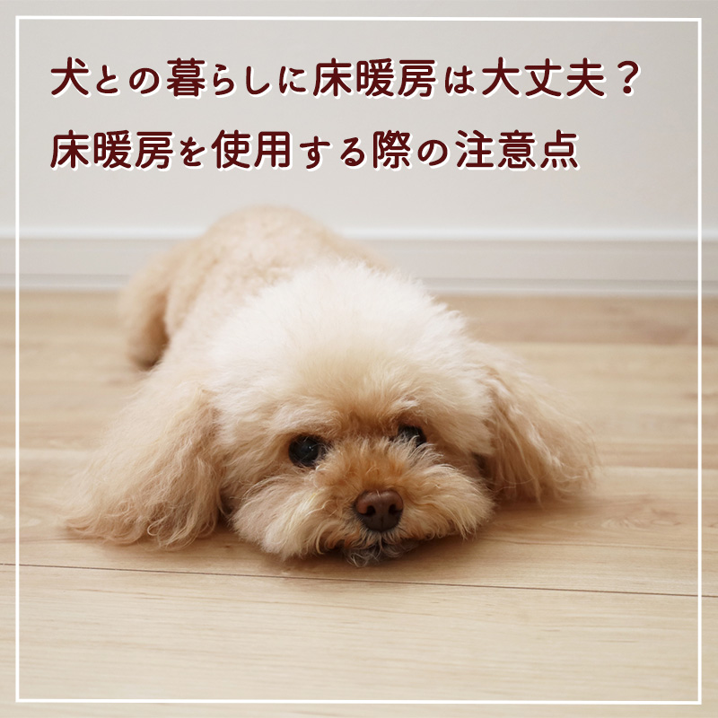 犬との暮らしに床暖房は大丈夫？床暖房を使用する際の注意点