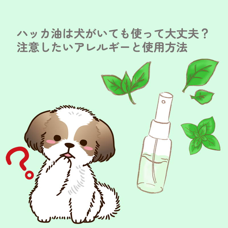 ハッカ油は犬がいても使って大丈夫？注意したいアレルギーと使用方法