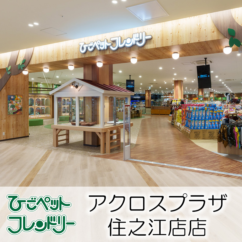 【ひごペットフレンドリーアクロスプラザ住之江店】2024年9月にグランドオープン！ペットと一緒に過ごせるHIGOCAFEがあるお店♪