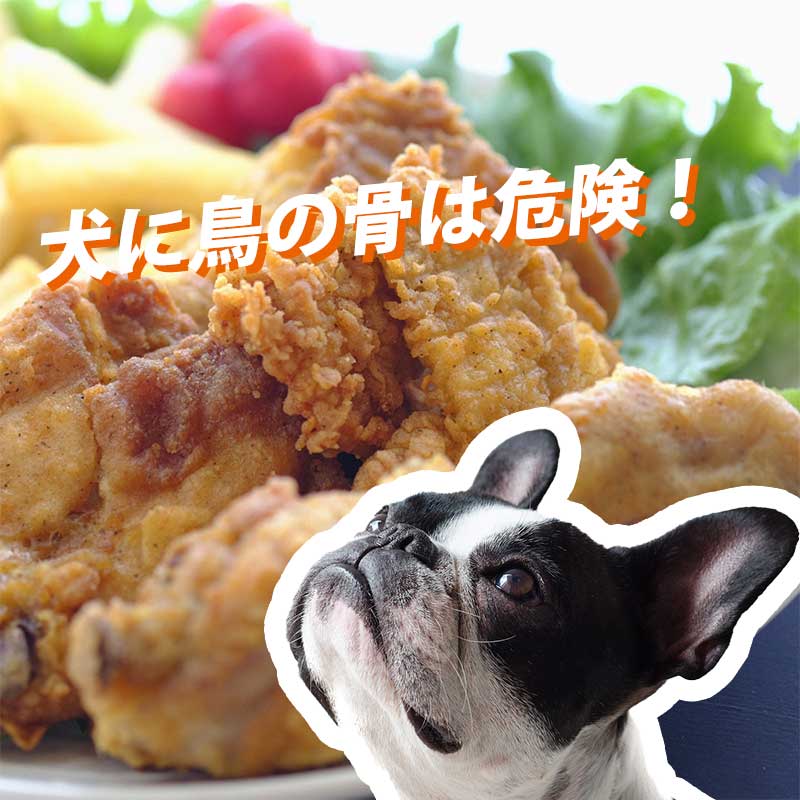 犬が鳥の骨を食べるのは胃に刺さって危険！鶏肉はどうやって与える？