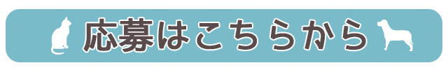 応募はこちらから