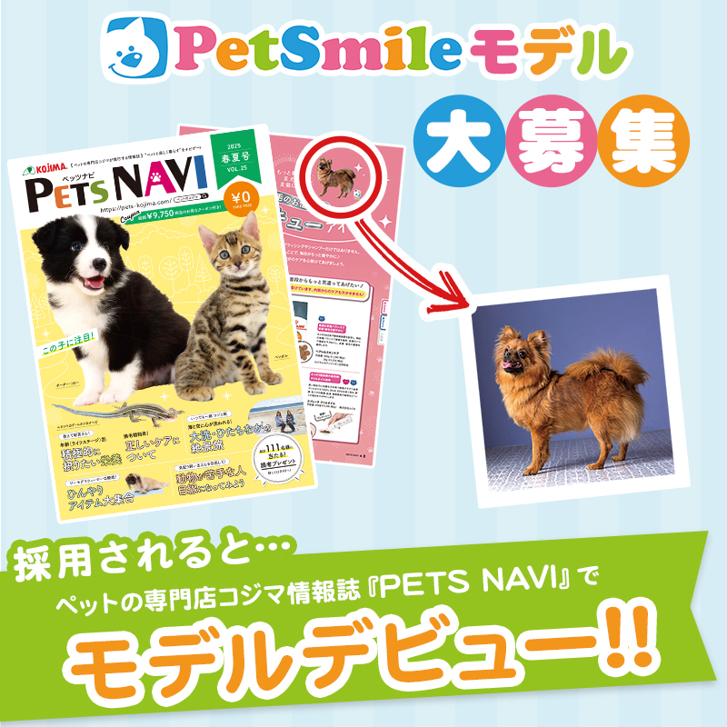 【モデル大募集】コジマの情報誌「PETS NAVI」でうちの子も、モデルデビュー！
