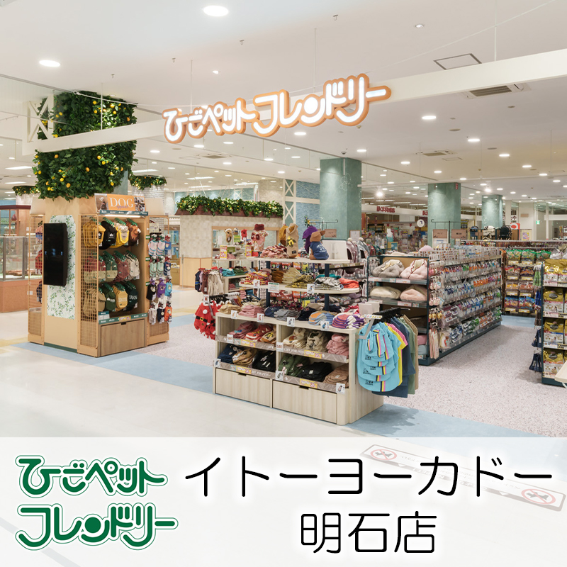 【ひごペットフレンドリーイトーヨーカドー明石店】2024年12月にグランドオープン！ペットのフード、用品が最大級のお店♪