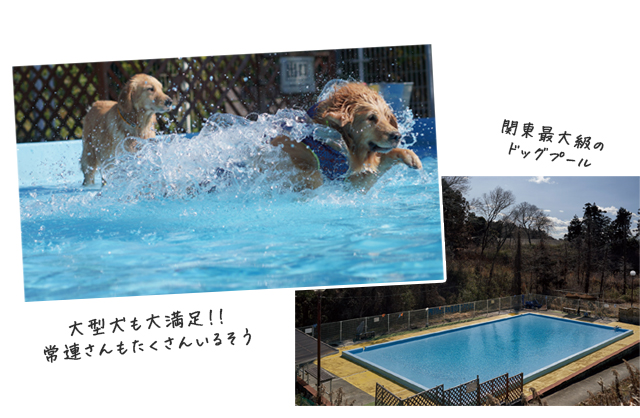 ドッグランひぬま2