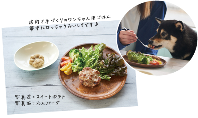 カフェエイト2