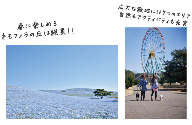 海浜公園