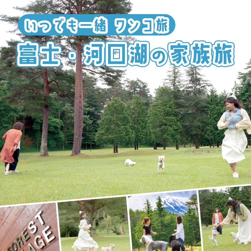 【Web版ワンコ旅】ワンちゃんと見たい、息をのむ絶景！富士・河口湖の家族旅