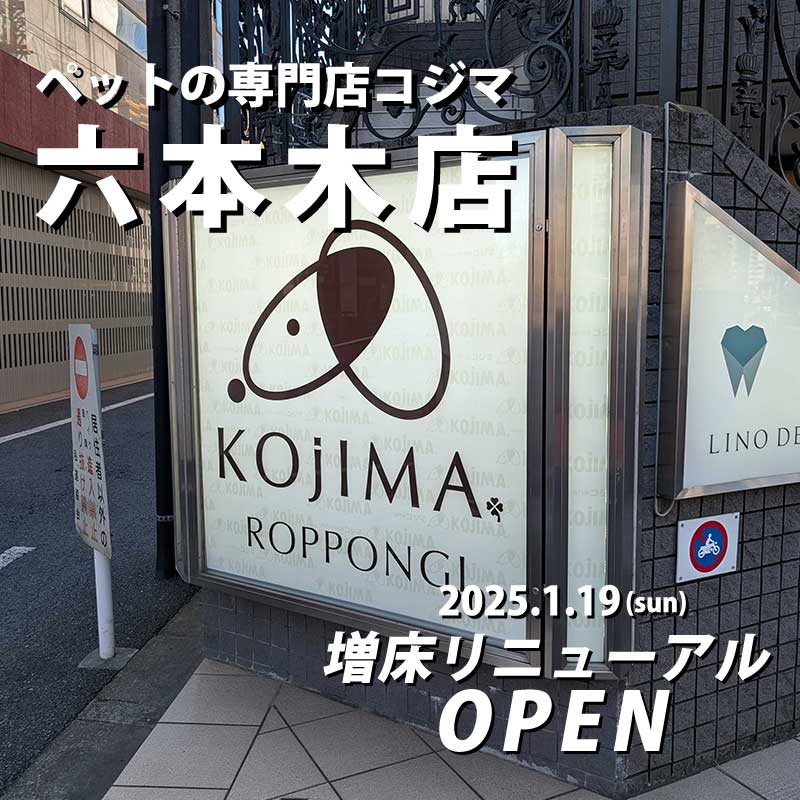 【2025年1月19日OPEN】ペットの専門店コジマ六本木店が増床リニューアル！