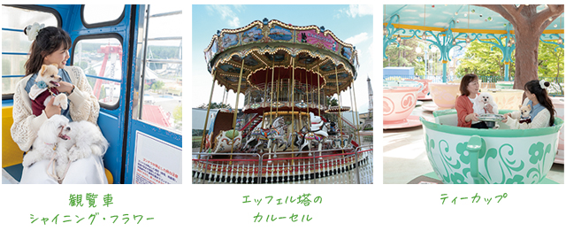 アトラクション