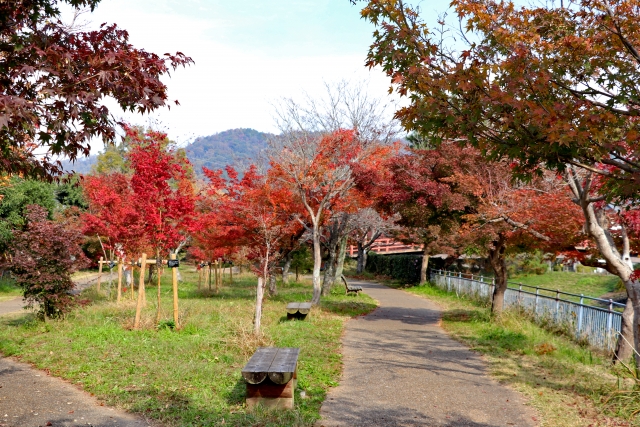 竜田公園