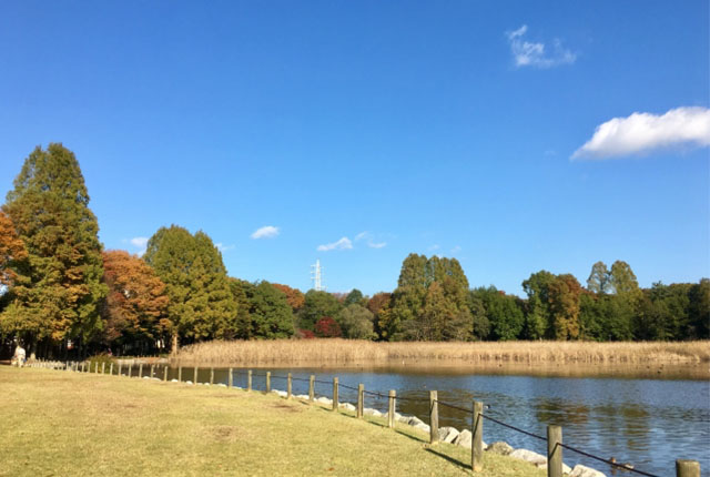 洞峰公園
