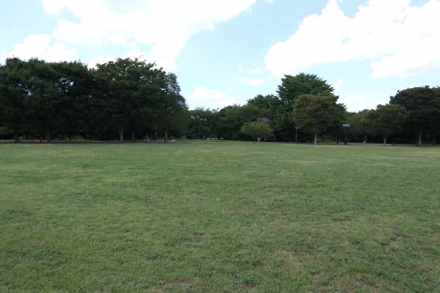 武蔵の森公園