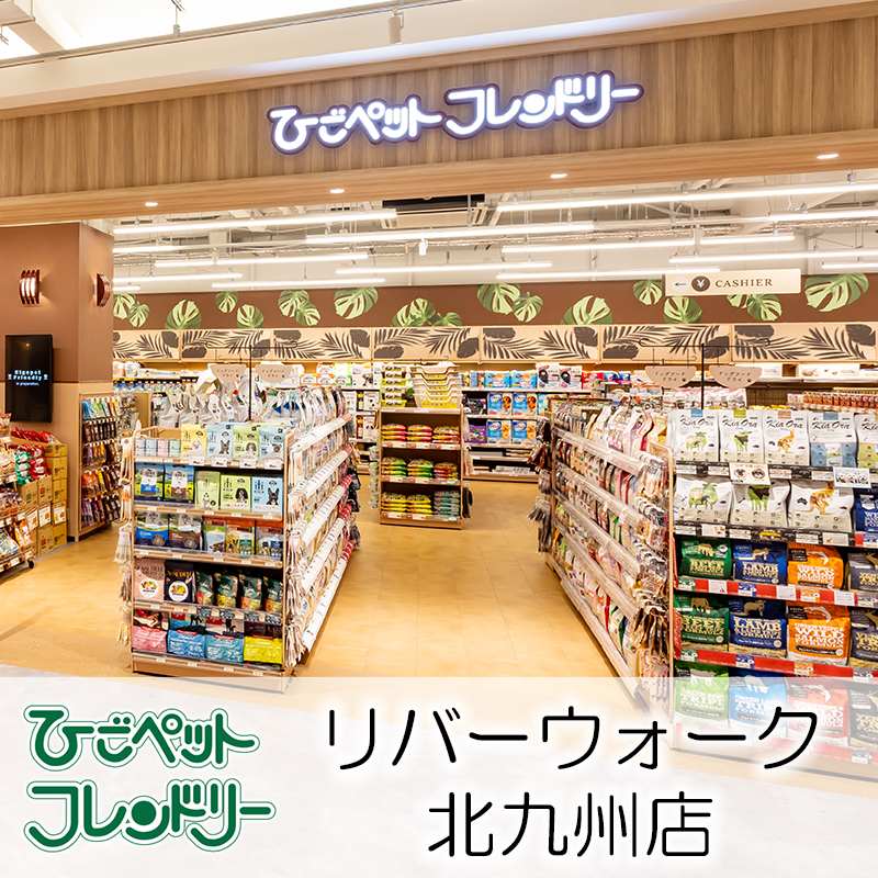 【ひごペットフレンドリーリバーウォーク北九州店】周辺はペットとの散歩コースにぴったり！北九州エリア初出店のペットショップ♪