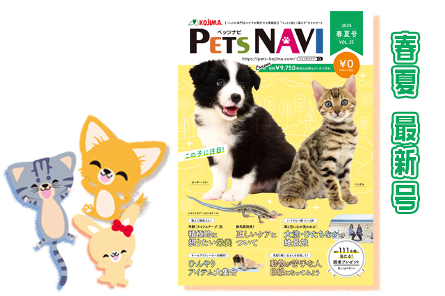 発刊しました記事内
