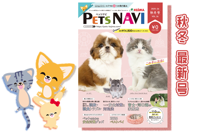 発刊しました記事内