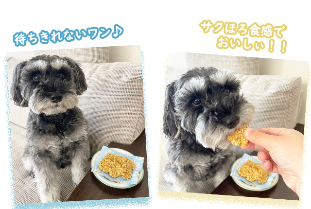 試食