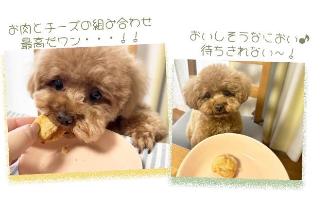 試食