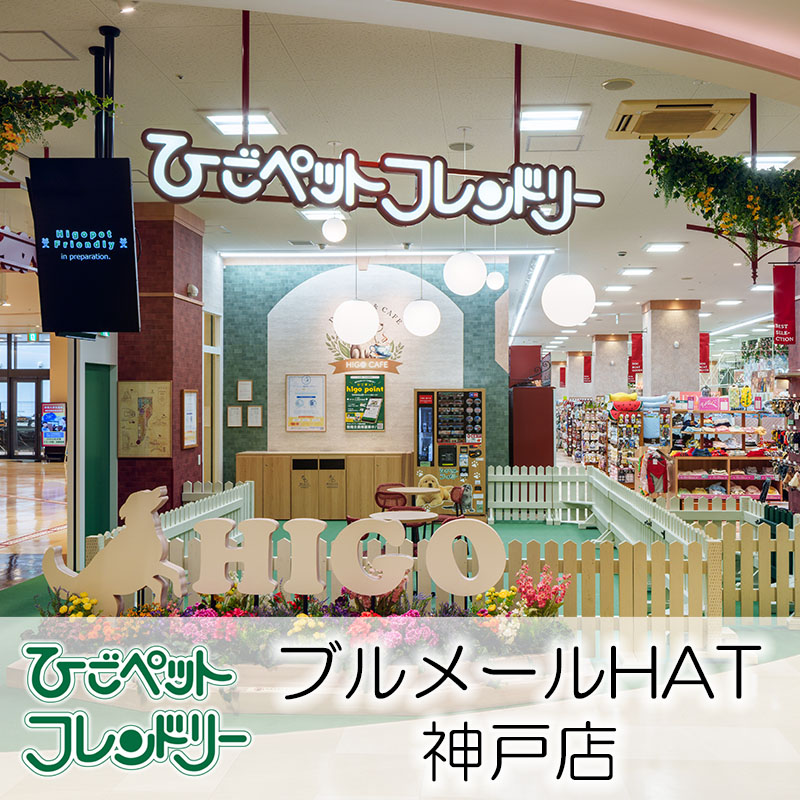 【ひごペットフレンドリーブルメールHAT神戸店】8月29日（金）にグランドオープン！品揃えが豊富で色んなペットに出会えるお店♪