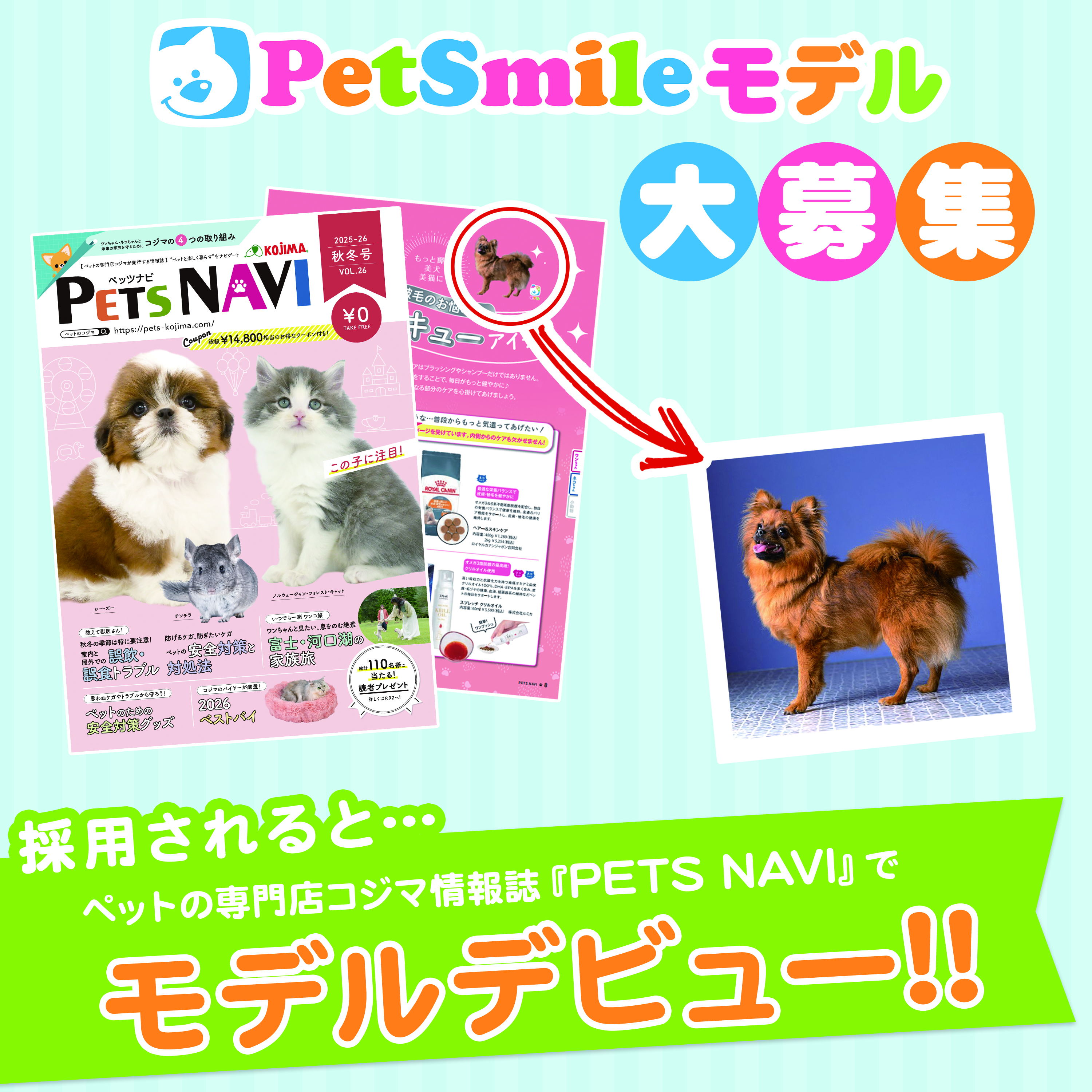 【モデル大募集】コジマの情報誌「PETS NAVI」でうちの子も、モデルデビュー！