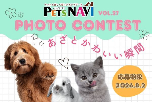 ピンク ミントグリーン かわいい ファッション