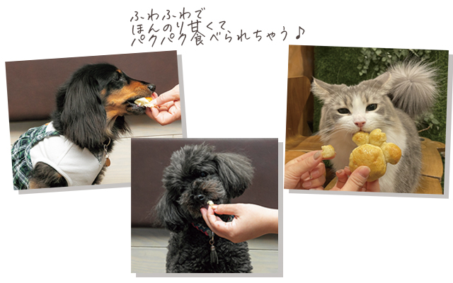 試食