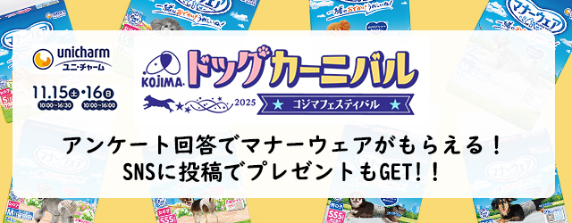 メイン画像 修正