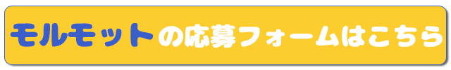 モルモット用応募フォーム