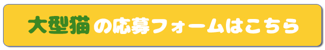 大型猫用応募フォーム