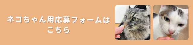 応募フォームバナー