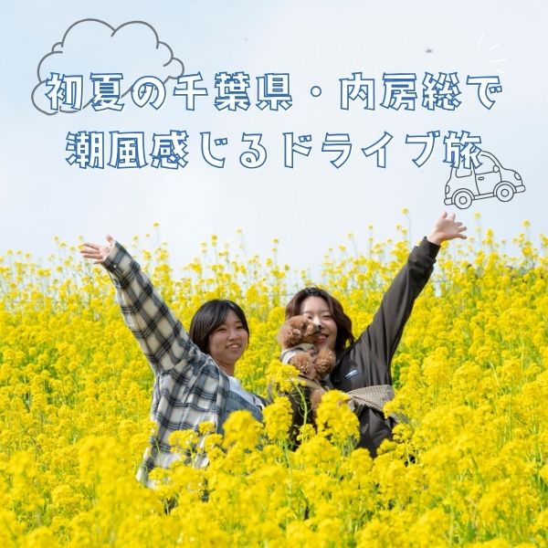 【Web版ワンコ旅】初夏の千葉県・内房総で潮風感じるドライブ旅