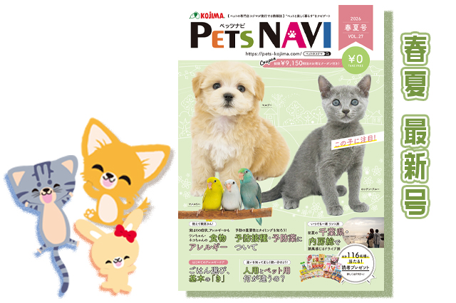 発刊しました記事内