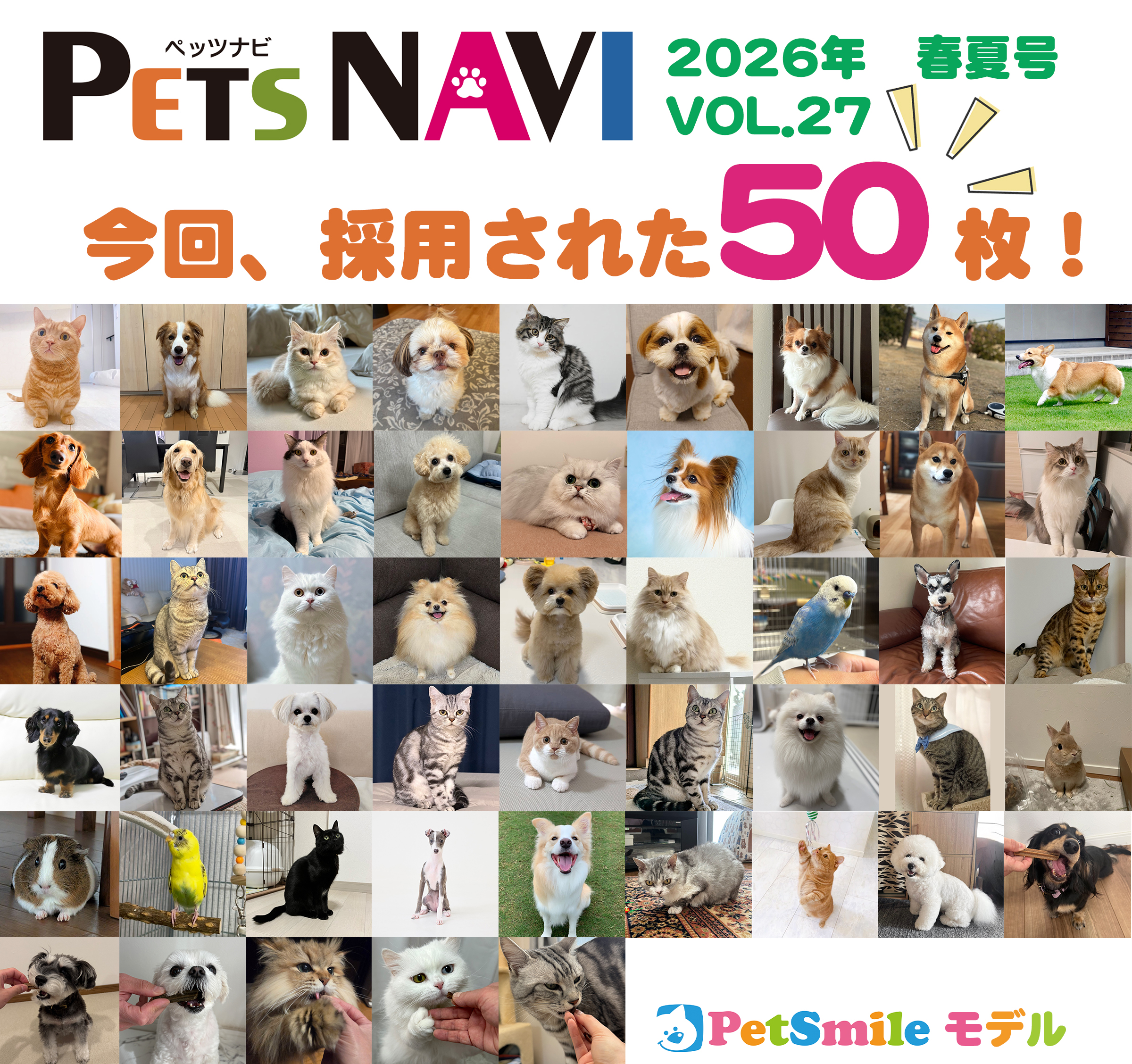 27号採用一覧