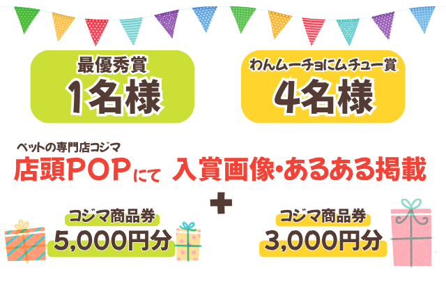 プレゼント内容