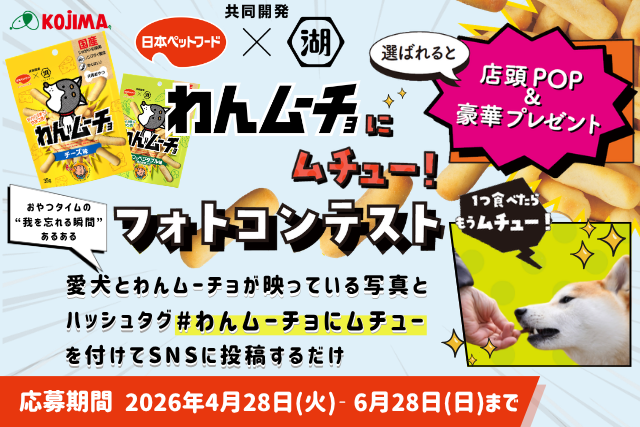 コンテストバナー